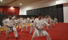 Seminarium Karate w Gnieźnie (link otworzy duże zdjęcie)