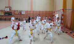 15 medali karateków Inochi Gniezno w Witkowie (link otworzy duże zdjęcie)