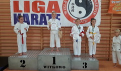 15 medali karateków Inochi Gniezno w Witkowie (link otworzy duże zdjęcie)