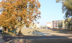 Pierwszy etap rewitalizacji stawku na Winiarach zakończony