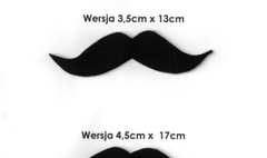 (link otworzy duże zdjęcie)