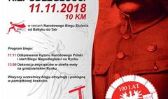 Setna rocznica odzyskania Niepodległości w Gnieźnie (link otworzy duże zdjęcie)