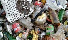 Służą segregacji tylko w teorii