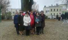 Pierwszy pomnik przyrody w Gnieźnie (link otworzy duże zdjęcie)