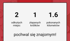 W Gnieźnie już można gonić króliki… z telefonem (link otworzy duże zdjęcie)