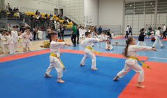 (link otworzy duże zdjęcie)