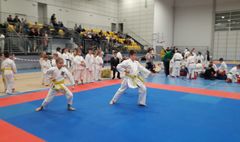 (link otworzy duże zdjęcie)