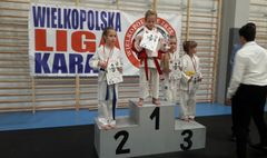 (link otworzy duże zdjęcie)