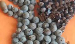 Nagrodzone prace w konkursie