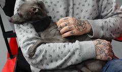 (link otworzy duże zdjęcie)