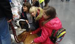 (link otworzy duże zdjęcie)