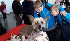 (link otworzy duże zdjęcie)