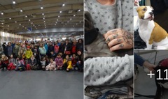 (link otworzy duże zdjęcie)