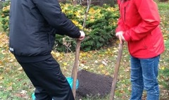 (link otworzy duże zdjęcie)