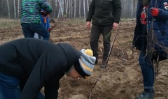 (link otworzy duże zdjęcie)