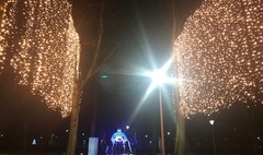 Iluminacje świąteczne od Enei w Parku Trzech Kultur (link otworzy duże zdjęcie)