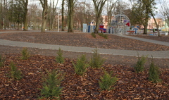 Park Trzech Kultur po rewitalizacji (link otworzy duże zdjęcie)