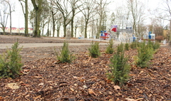 Park Trzech Kultur po rewitalizacji (link otworzy duże zdjęcie)