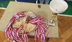 Mistrzostwa Gniezna w piłce ręcznej dziewcząt szkół podstawowych (link otworzy duże zdjęcie)