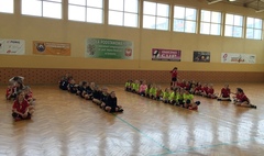 Mistrzostwa Gniezna w piłce ręcznej dziewcząt szkół podstawowych (link otworzy duże zdjęcie)