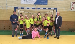Mistrzostwa Gniezna w piłce ręcznej dziewcząt szkół podstawowych (link otworzy duże zdjęcie)