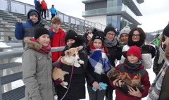 Zimowy wypoczynek w polskich górach (link otworzy duże zdjęcie)