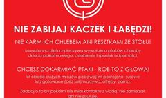 Jak pomóc ptakom przetrwać zimę?