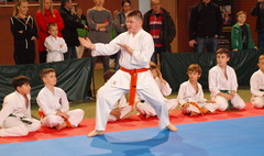 Wielkopolska Otwarta Liga Karate