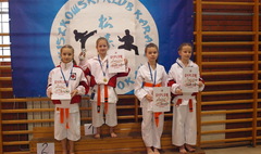 Wielkopolska Otwarta Liga Karate (link otworzy duże zdjęcie)
