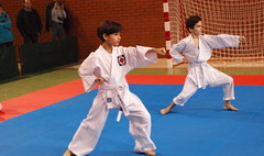 Wielkopolska Otwarta Liga Karate (link otworzy duże zdjęcie)