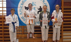 Wielkopolska Otwarta Liga Karate (link otworzy duże zdjęcie)