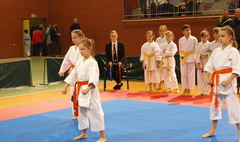Wielkopolska Otwarta Liga Karate (link otworzy duże zdjęcie)