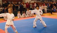 Wielkopolska Otwarta Liga Karate (link otworzy duże zdjęcie)