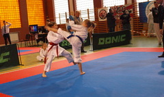 Wielkopolska Otwarta Liga Karate (link otworzy duże zdjęcie)