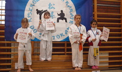 Wielkopolska Otwarta Liga Karate (link otworzy duże zdjęcie)