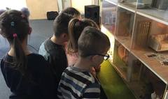 (link otworzy duże zdjęcie)