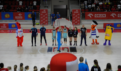 (link otworzy duże zdjęcie)