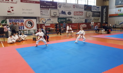Wielkopolska Otwarta Liga Karate (link otworzy duże zdjęcie)
