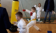 Wielkopolska Otwarta Liga Karate (link otworzy duże zdjęcie)