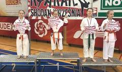 Wielkopolska Otwarta Liga Karate (link otworzy duże zdjęcie)