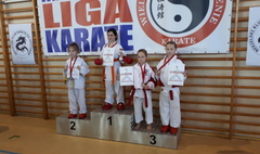 (link otworzy duże zdjęcie)