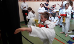 (link otworzy duże zdjęcie)