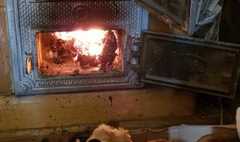 Mandat za palenie w piecu maskotkami