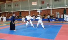 (link otworzy duże zdjęcie)