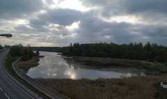 Przycinka rdestnicy na jeziorze Winiary