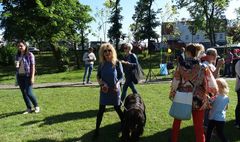 Hawajski festyn na Osiedlu Konikowo (link otworzy duże zdjęcie)