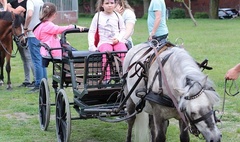 (link otworzy duże zdjęcie)