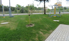 (link otworzy duże zdjęcie)