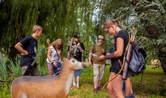 (link otworzy duże zdjęcie)