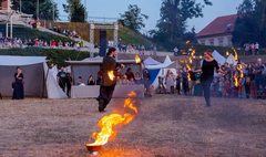 (link otworzy duże zdjęcie)